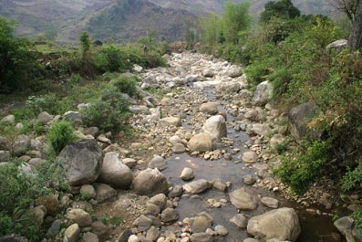 Lai Chau moi cac nha khoa hoc tim loi giai.