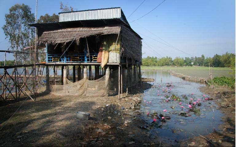 Viet Nam ung pho bien doi khi hau.