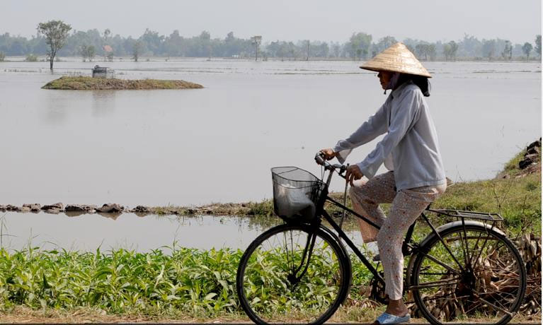 Viet Nam ung pho bien doi khi hau.