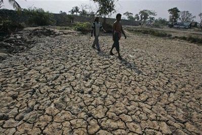 Đồng ruộng nứt nẻ vì hạn hán tại